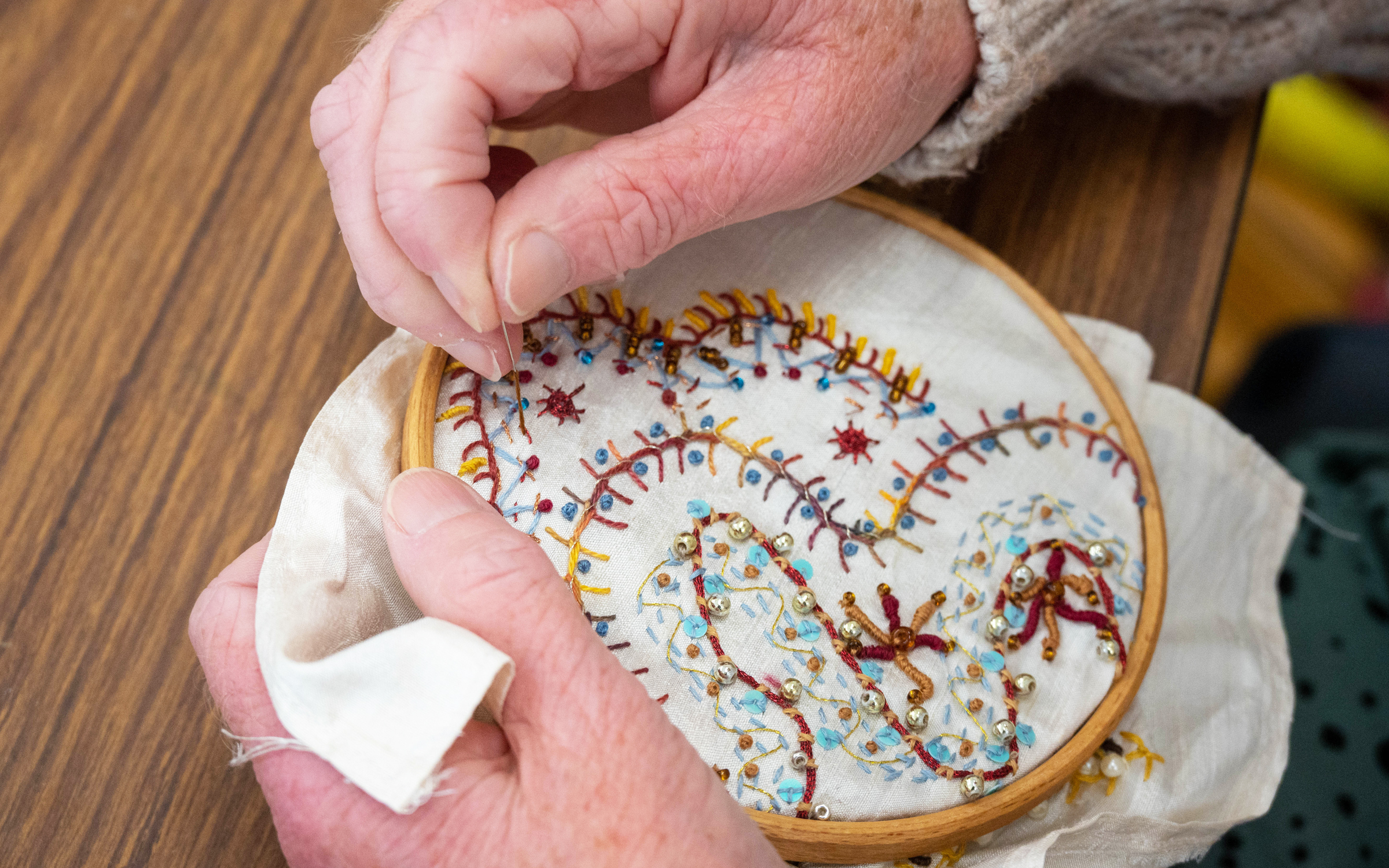 Sewing Hoop Embroidery