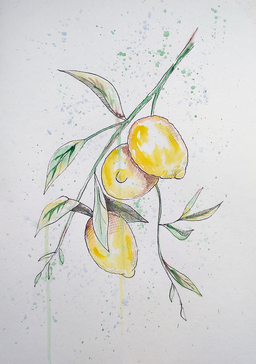 Lemons Botanical Ink Watercolour generic