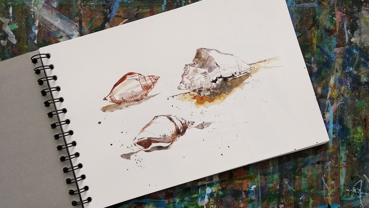 Sea shells sketchbook drawing