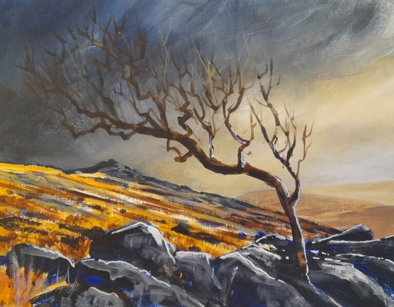 Rollins Dartmoor Landscape