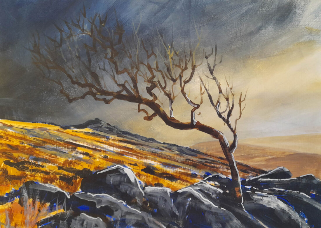 Rollins Dartmoor Landscape